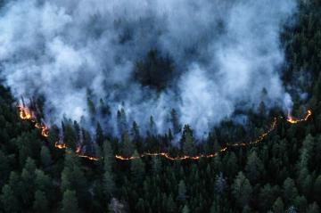 Опасность лесных пожаров и методы их ликвидации